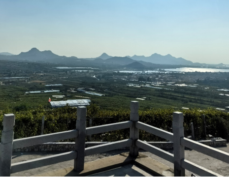 平度大澤山葡萄園引進(jìn)萊恩德土壤肥料檢測(cè)儀， 輕松掌握土壤營(yíng)養(yǎng)